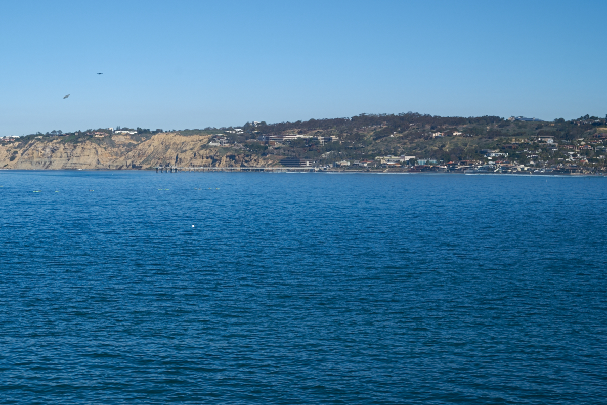 La Jolla Cove Surf 20160212